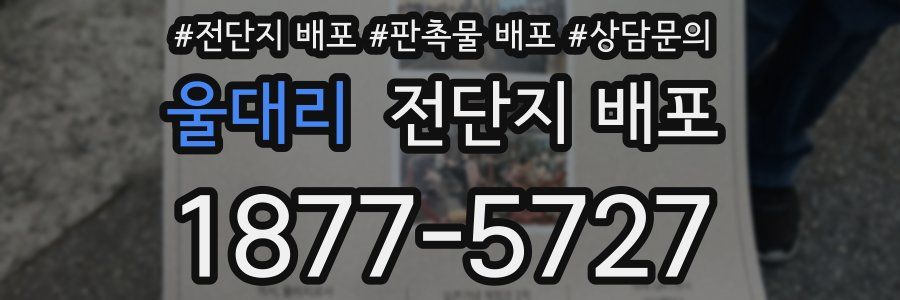 울대리 전단지 배포
