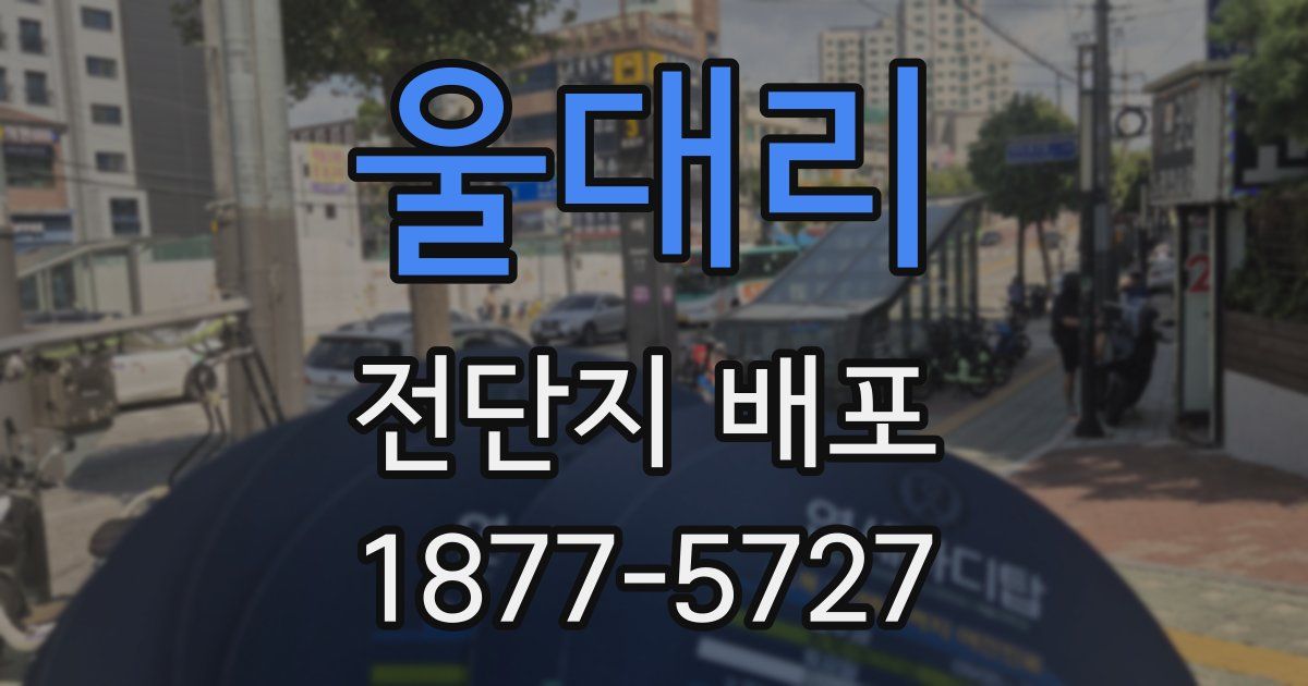 울대리 전단지 배포