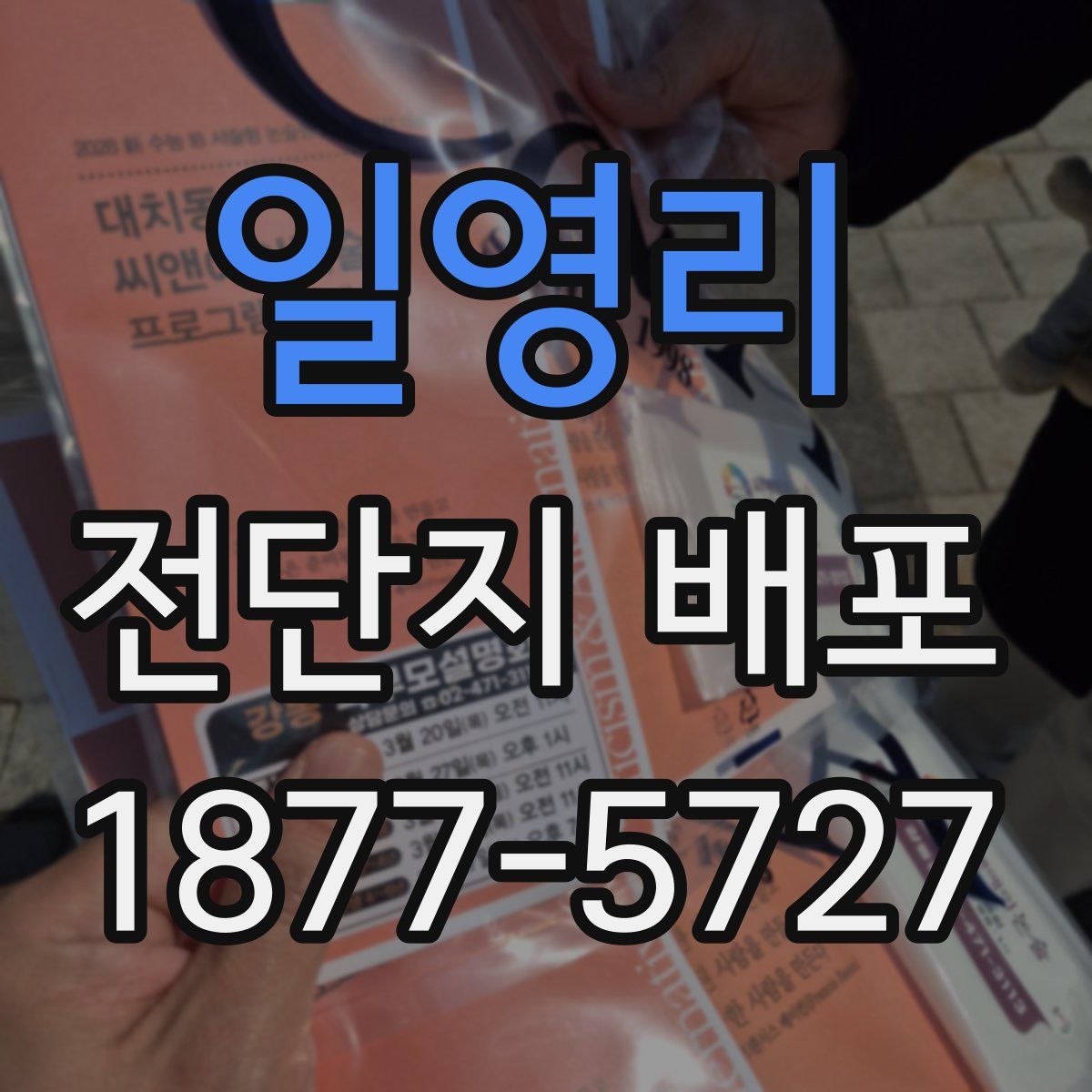 일영리 전단지 배포