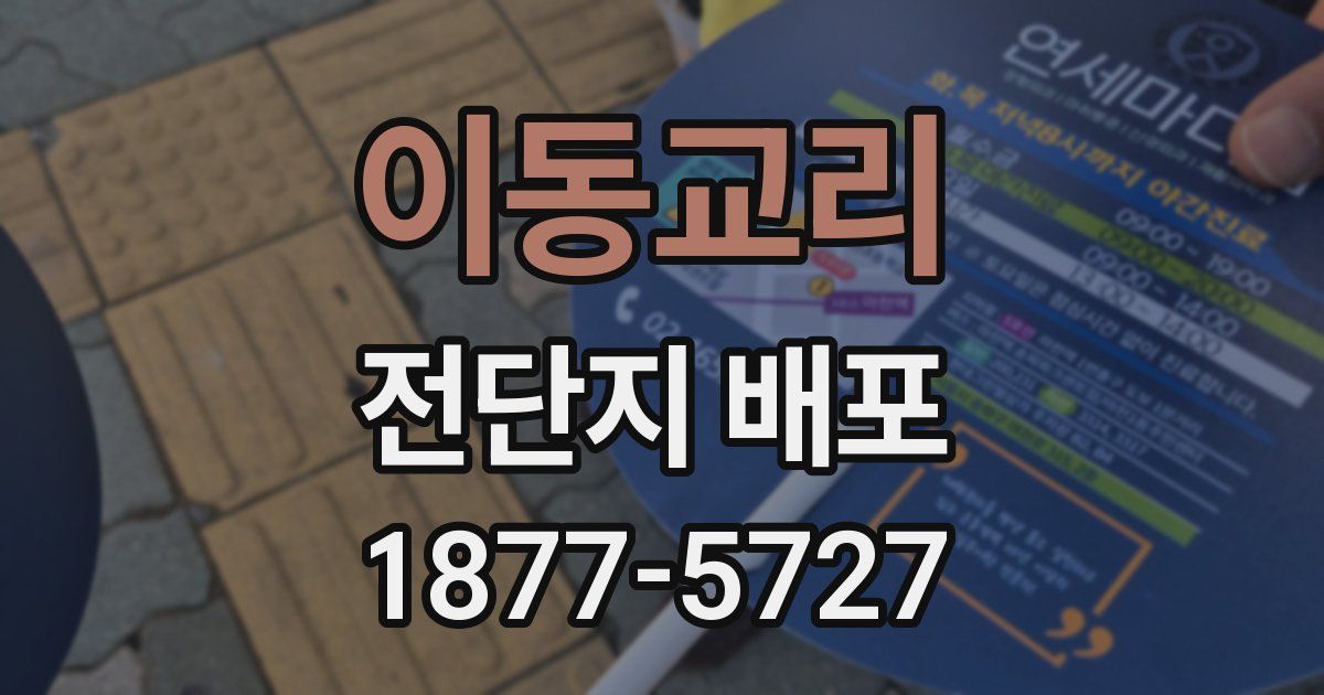 이동교리 전단지 배포