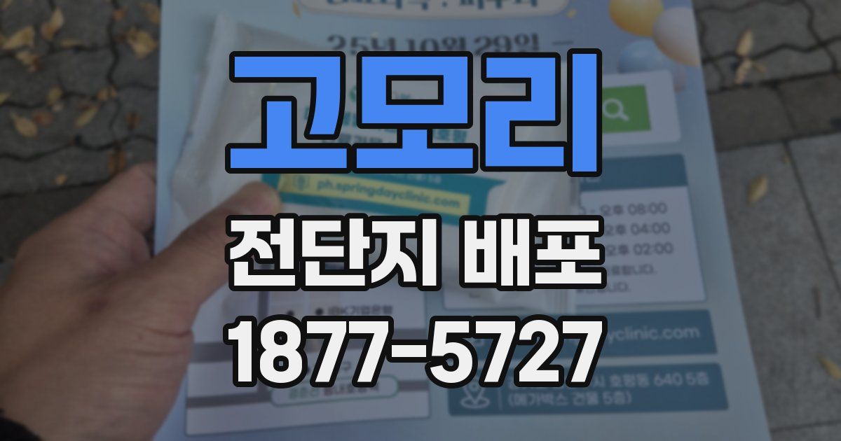 고모리 전단지 배포