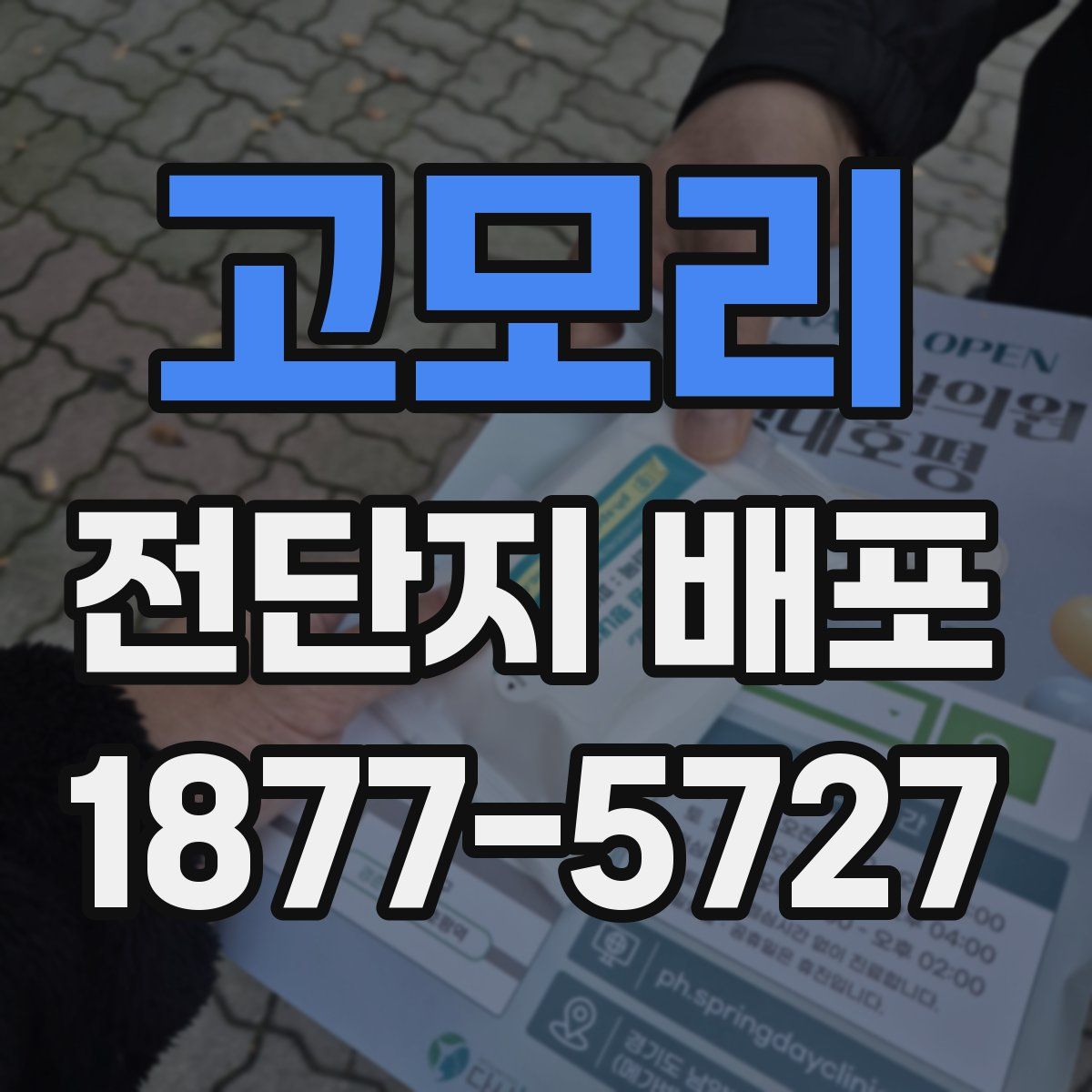 고모리 전단지 배포