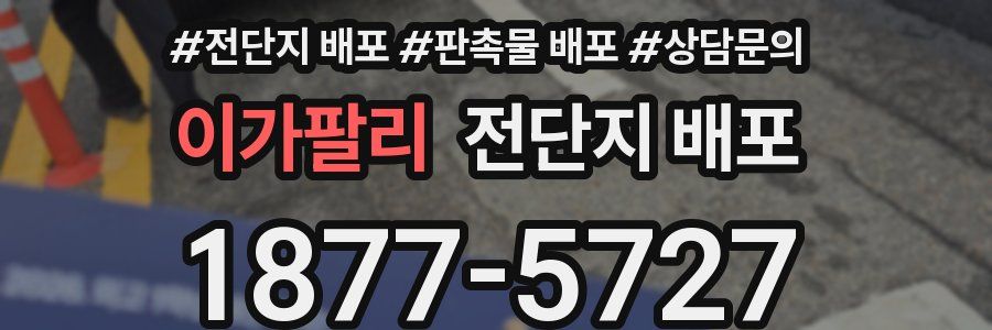 이가팔리 전단지 배포