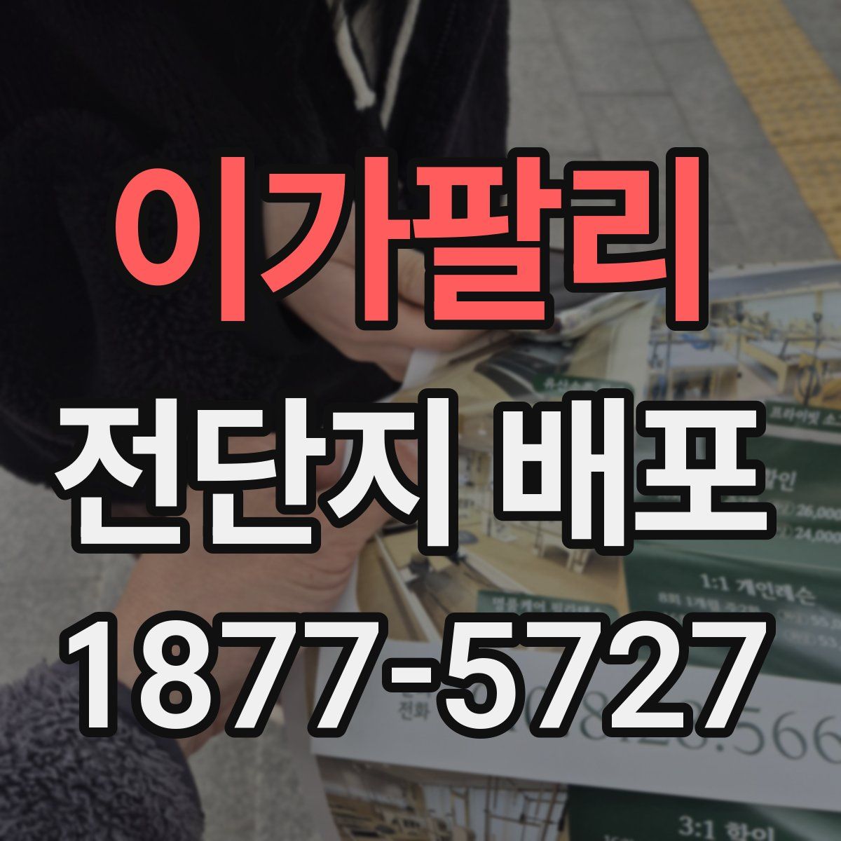 이가팔리 전단지 배포