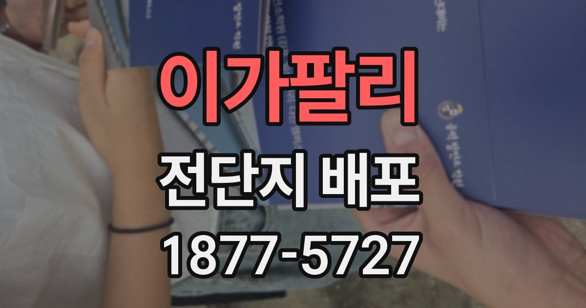 이가팔리 전단지 배포