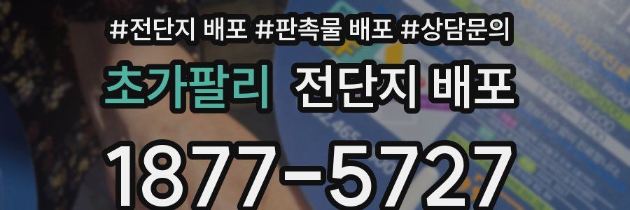 초가팔리 전단지 배포