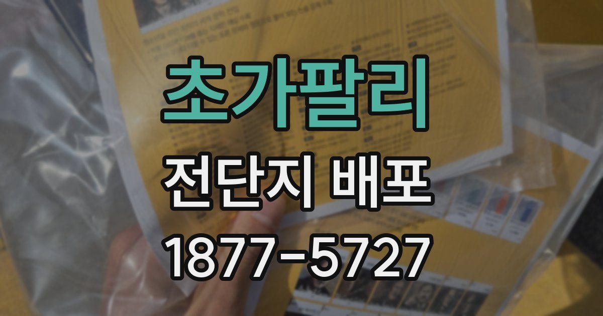 초가팔리 전단지 배포