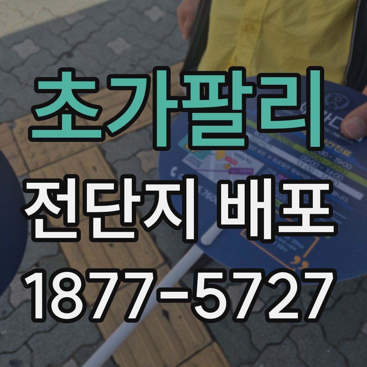 초가팔리 전단지 배포