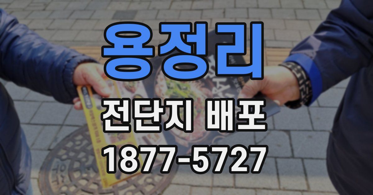 용정리 전단지 배포