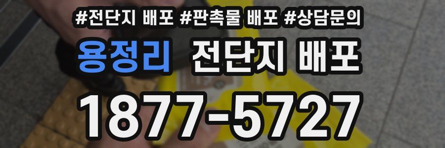 용정리 전단지 배포