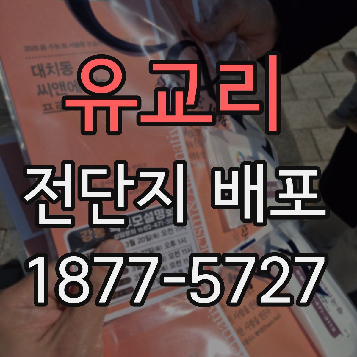 유교리 전단지 배포