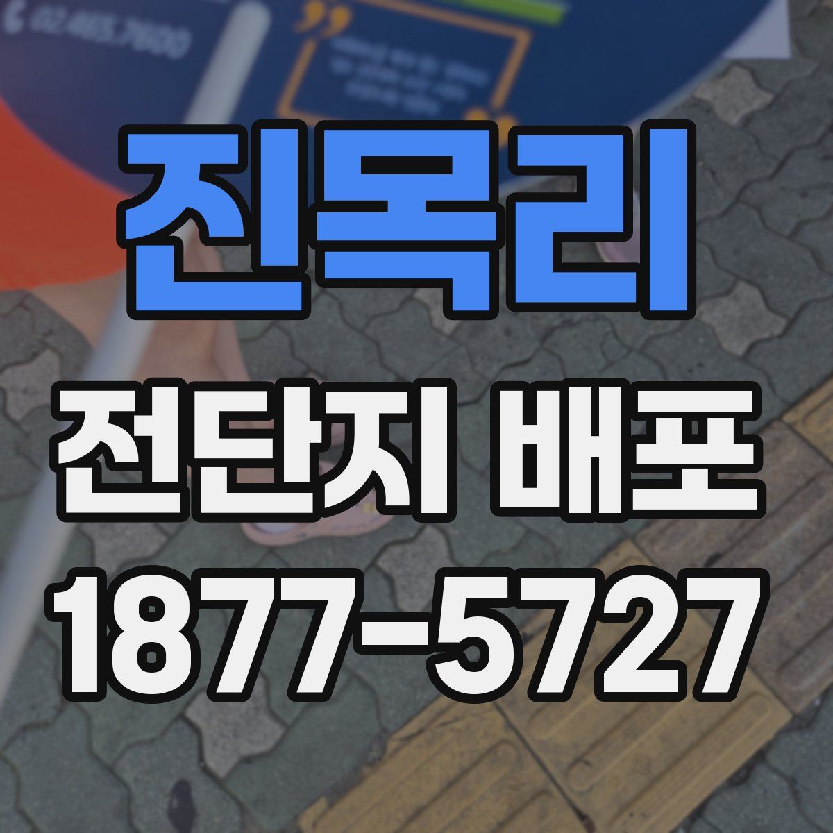 진목리 전단지 배포