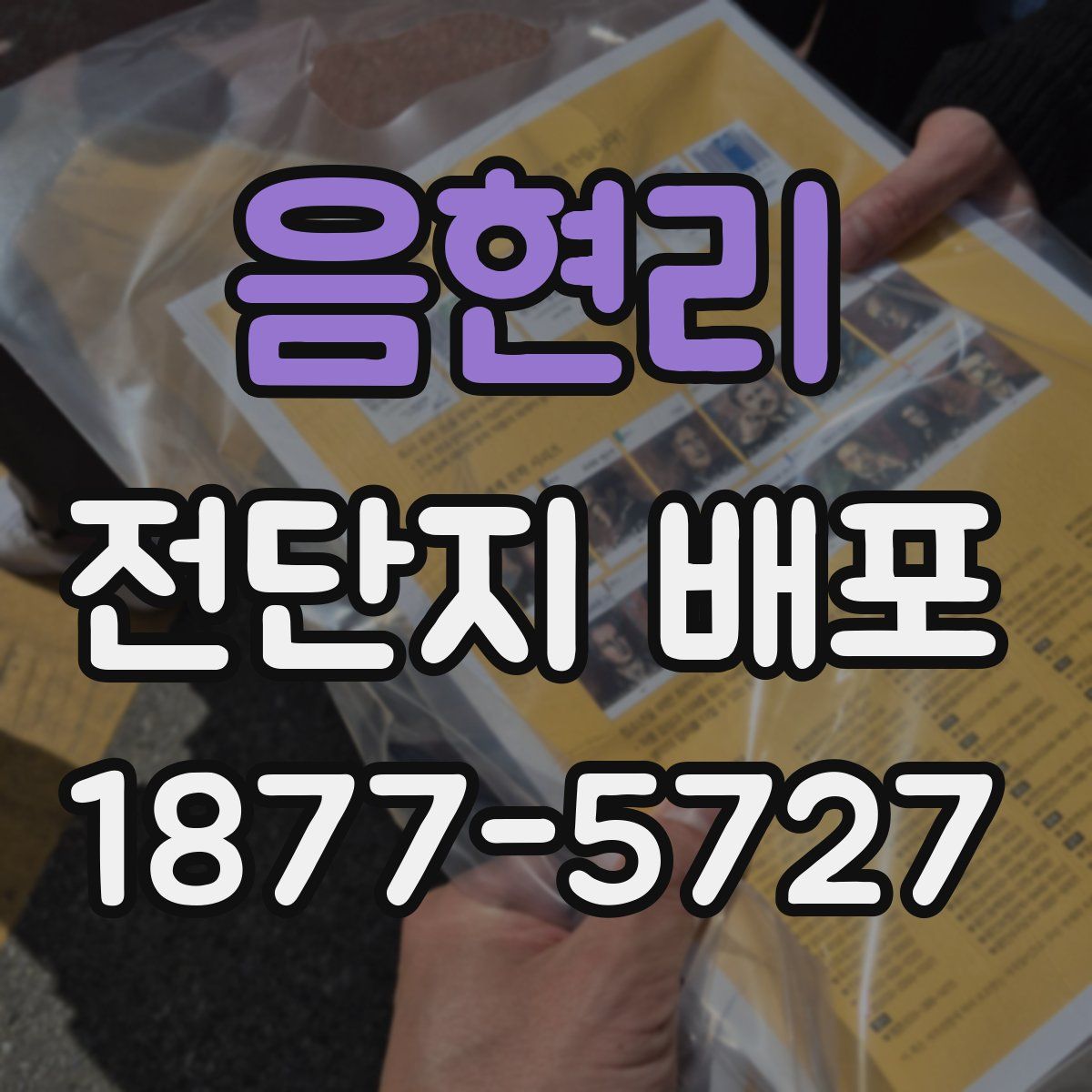 음현리 전단지 배포