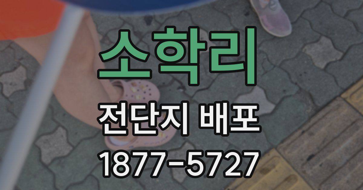 소학리 전단지 배포