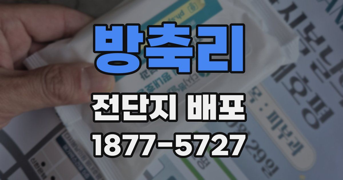 방축리 전단지 배포