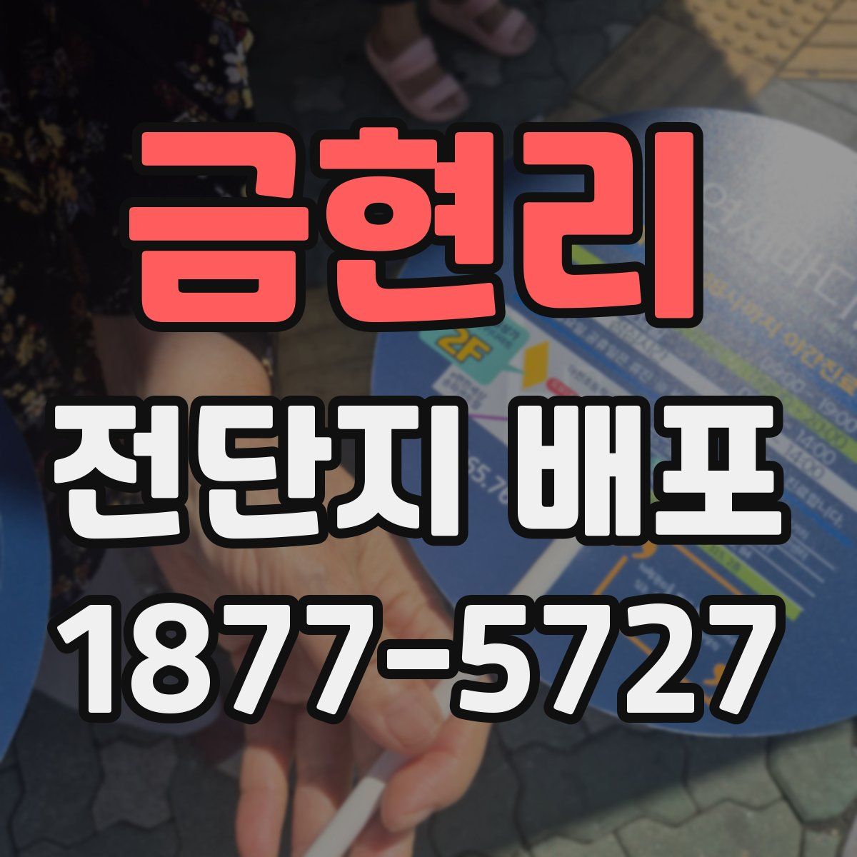 금현리 전단지 배포