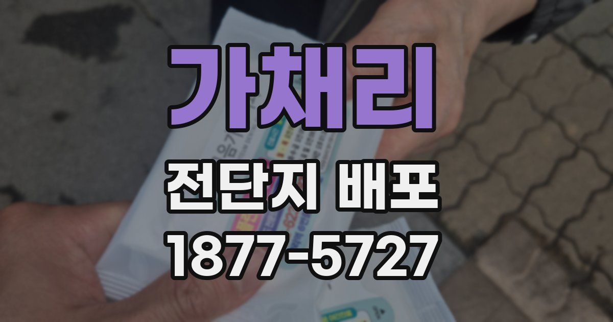 가채리 전단지 배포