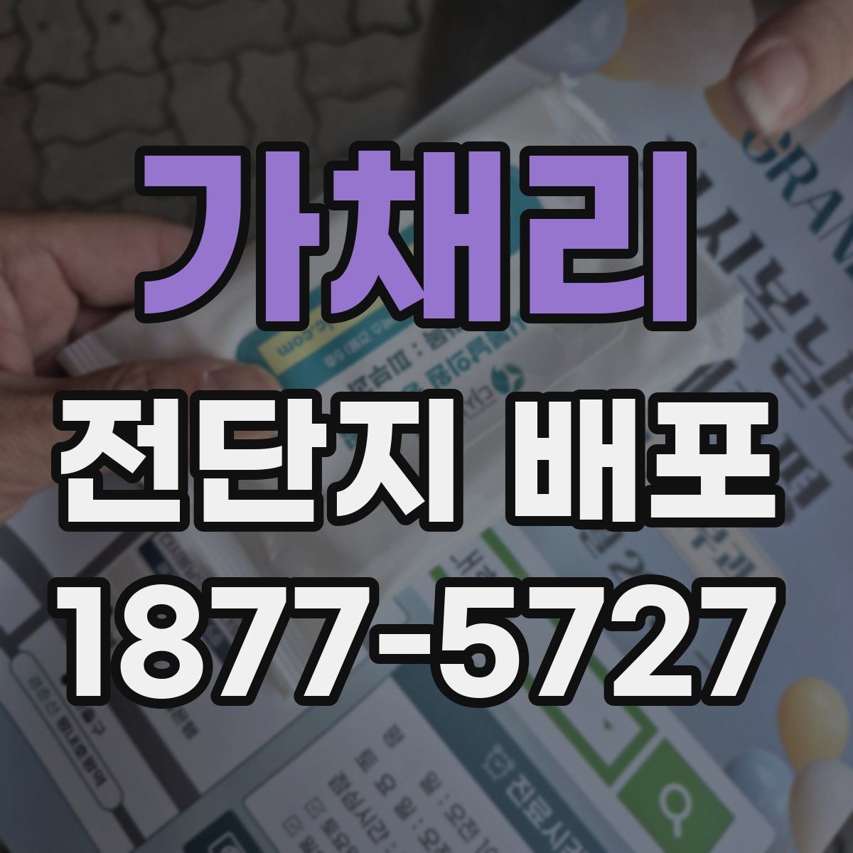 가채리 전단지 배포