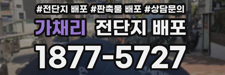 가채리 전단지 배포