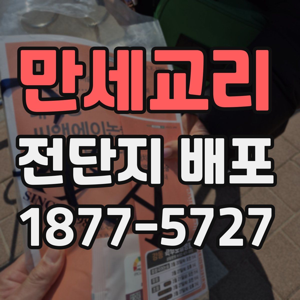 만세교리 전단지 배포