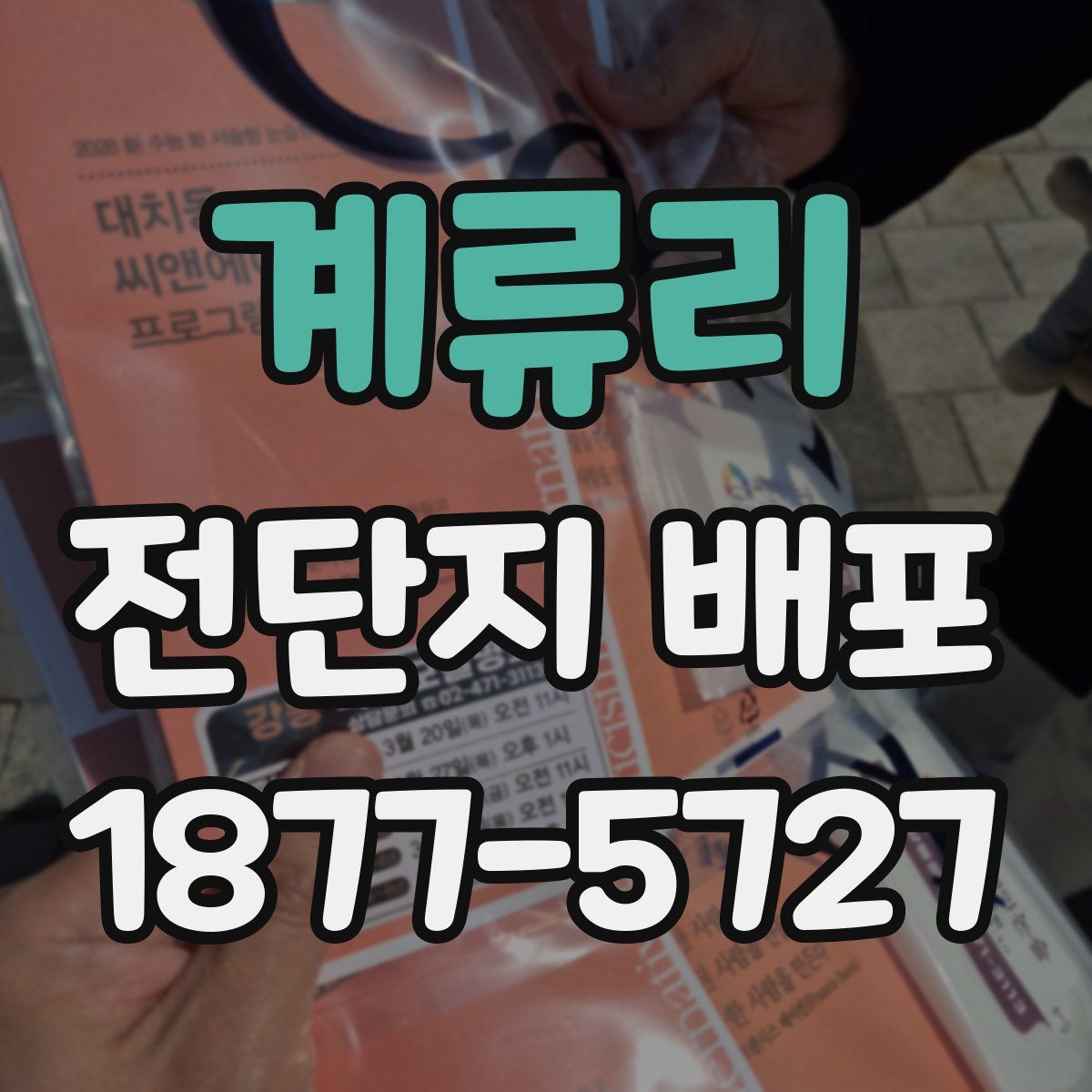 계류리 전단지 배포