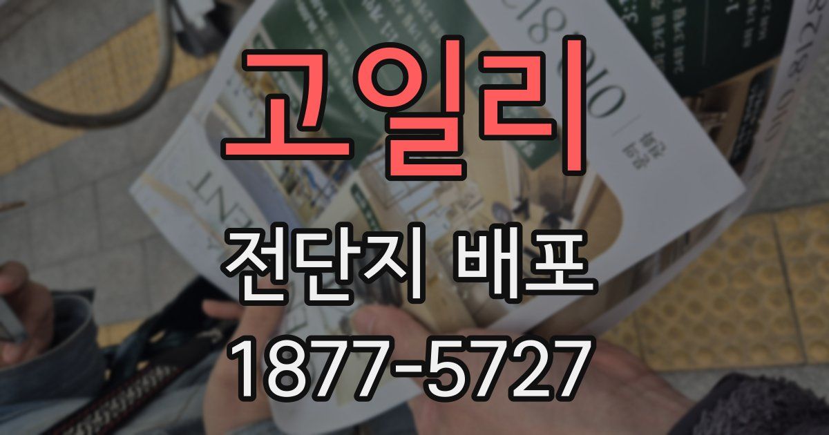 고일리 전단지 배포