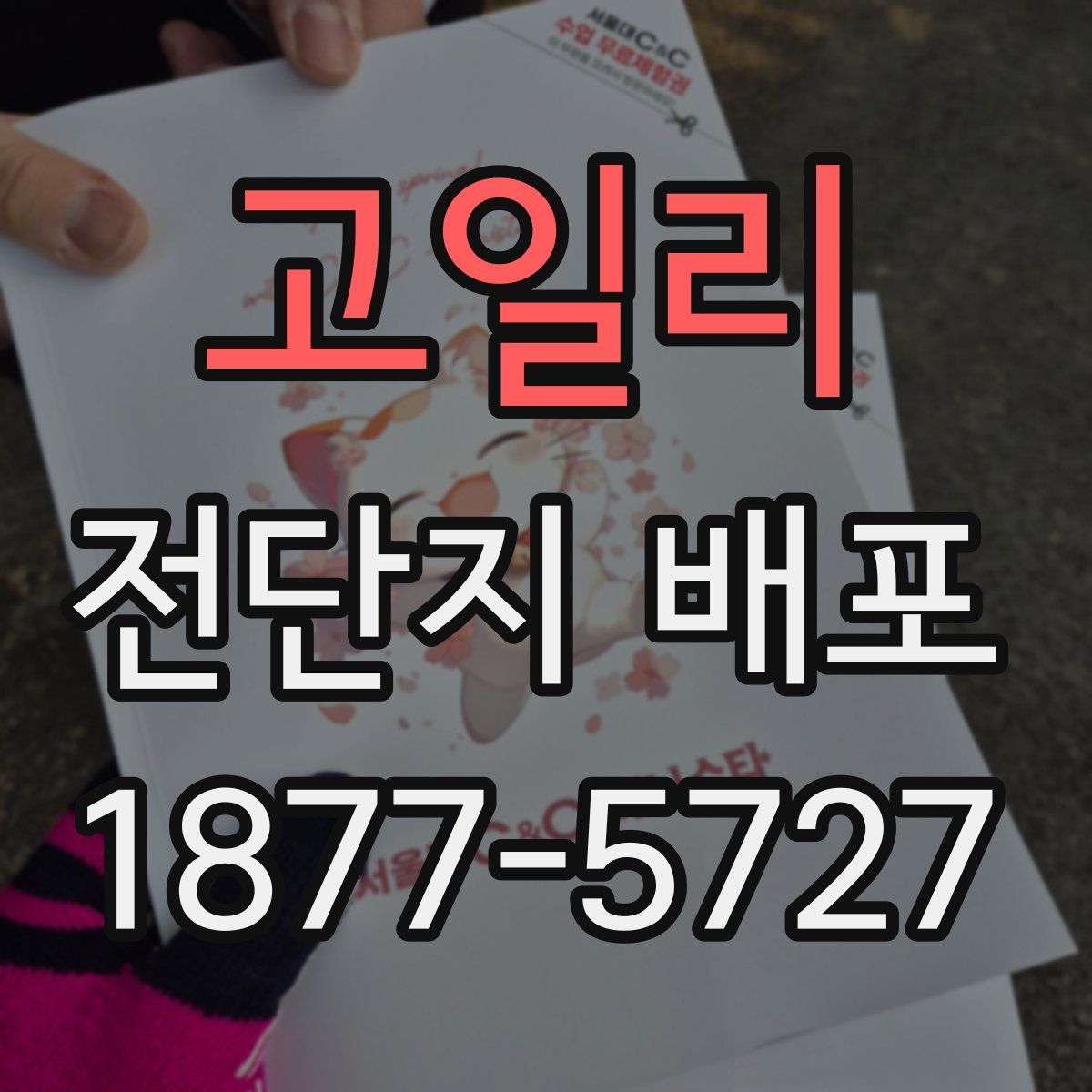 고일리 전단지 배포