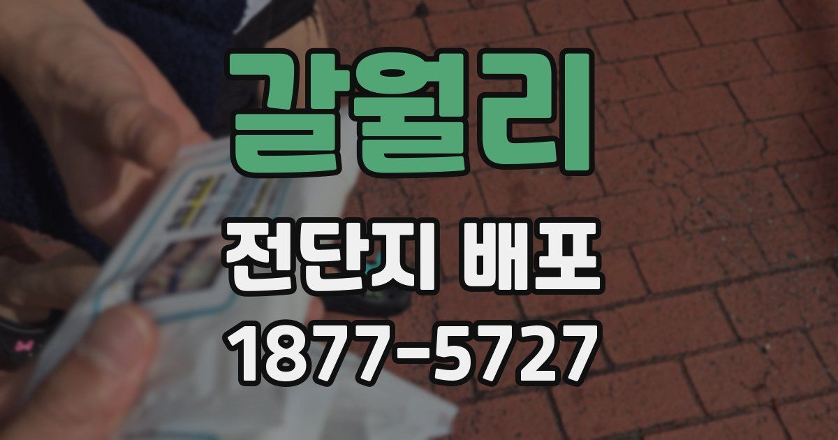갈월리 전단지 배포