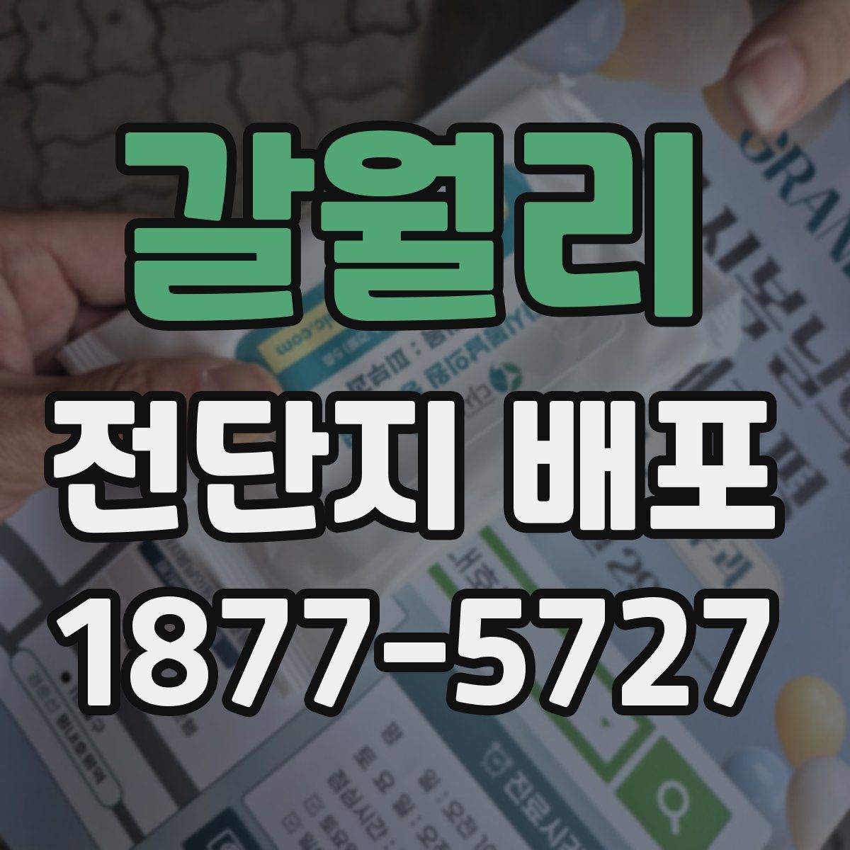 갈월리 전단지 배포