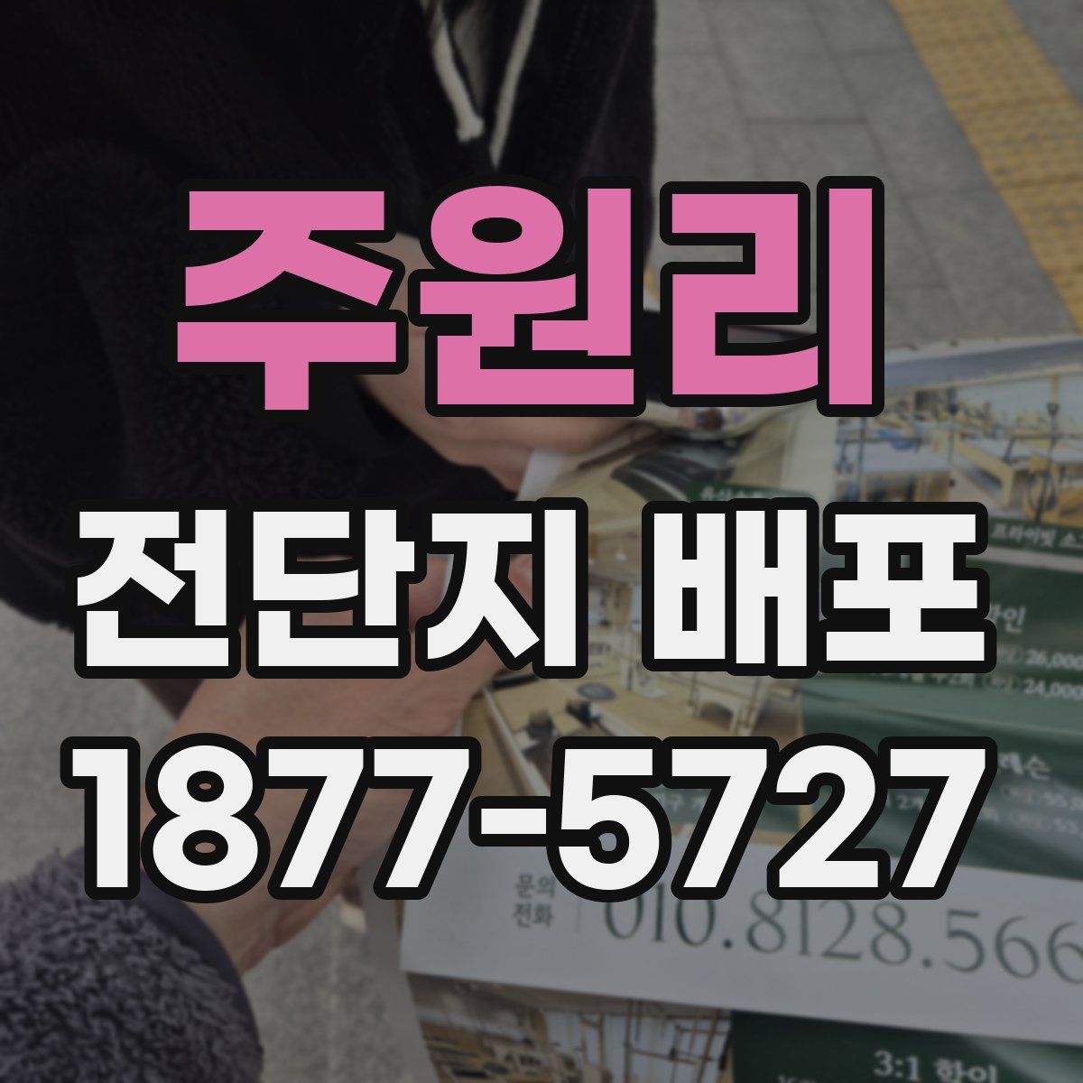 주원리 전단지 배포