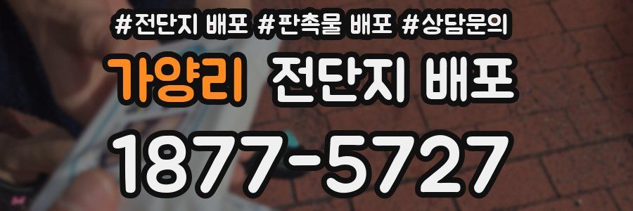 가양리 전단지 배포