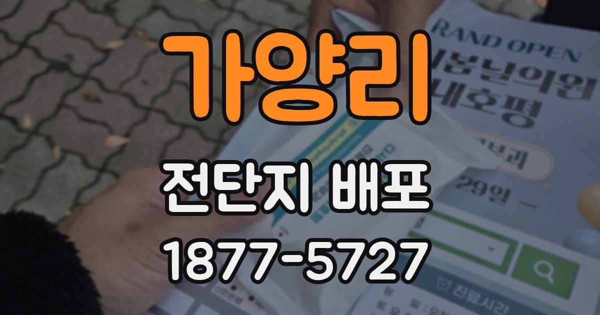 가양리 전단지 배포