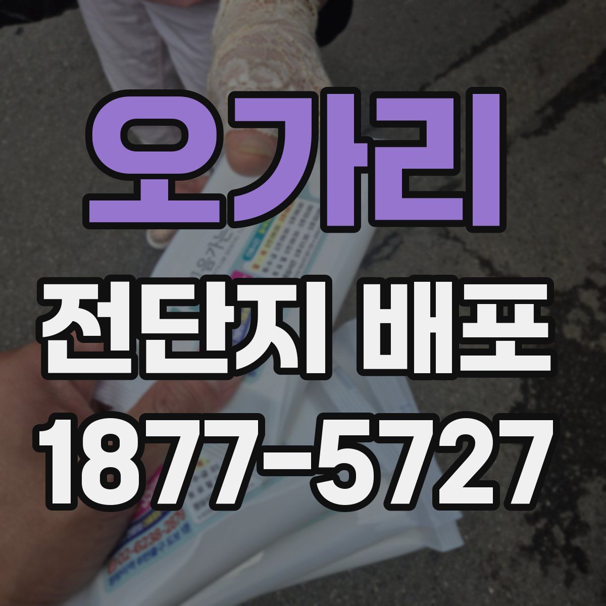 오가리 전단지 배포