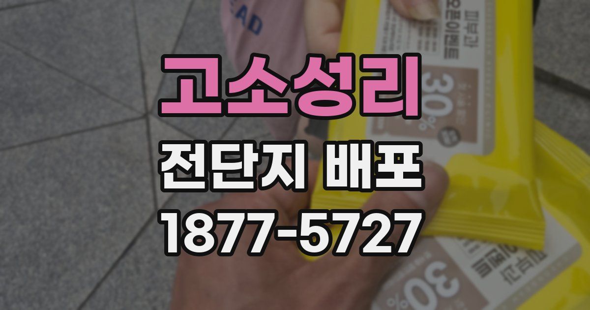 고소성리 전단지 배포