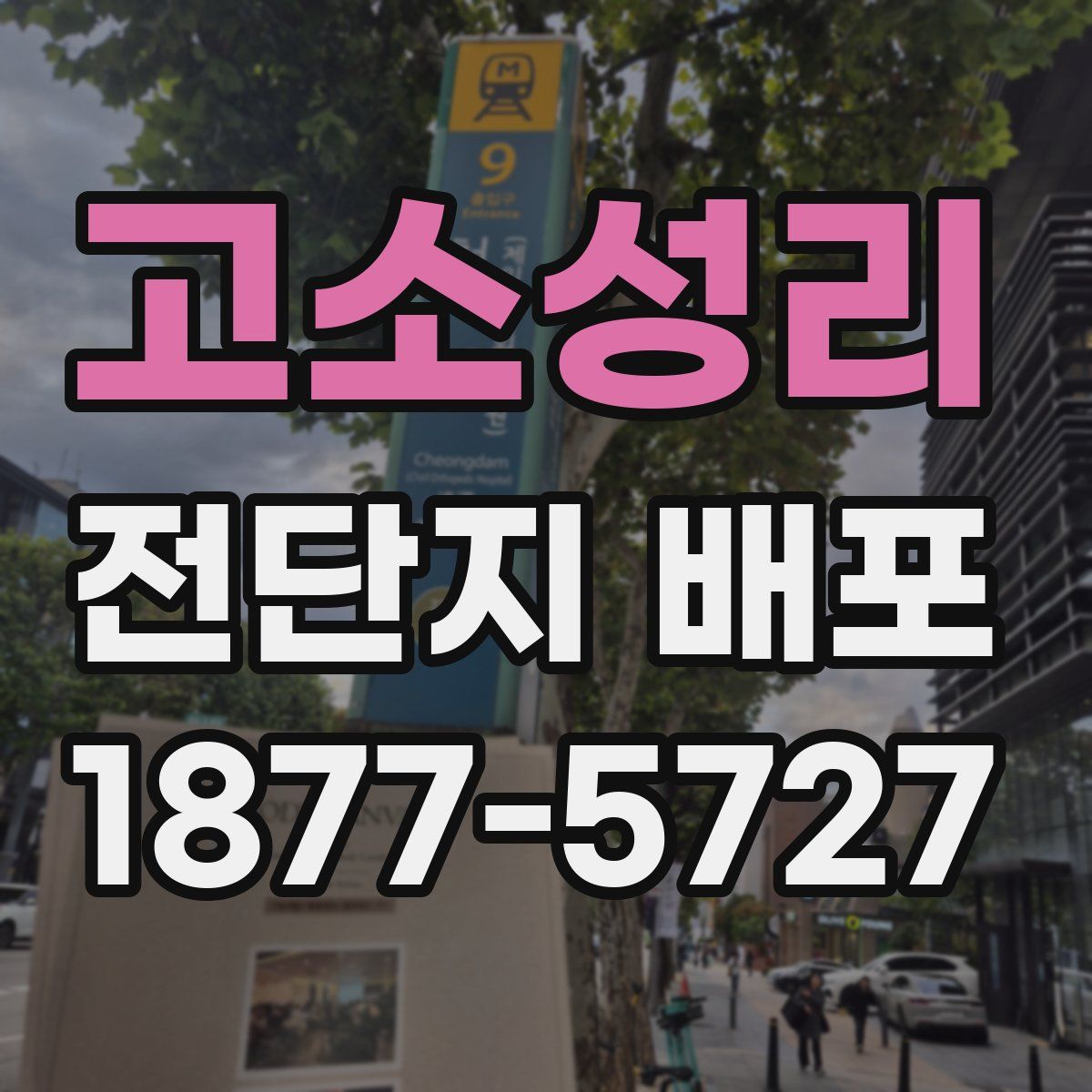 고소성리 전단지 배포