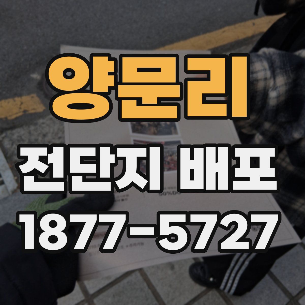 양문리 전단지 배포