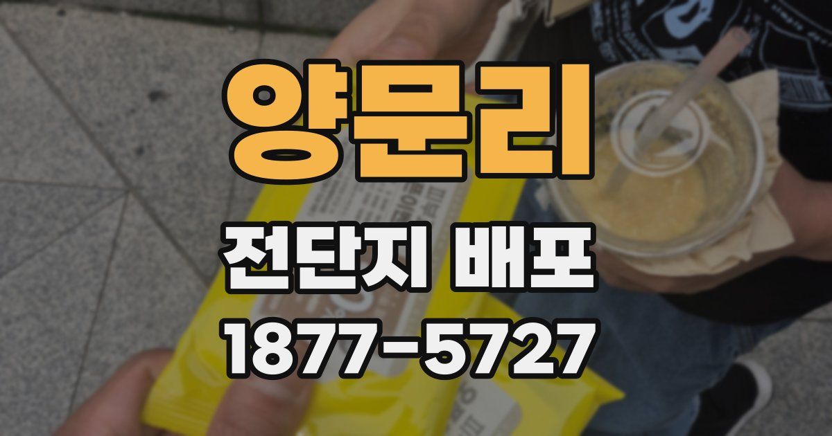 양문리 전단지 배포