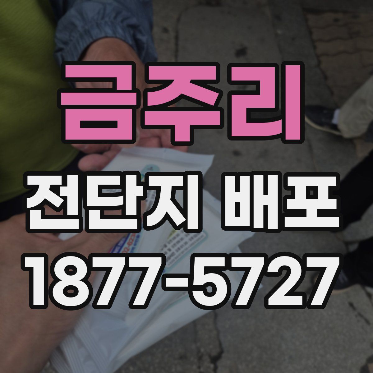 금주리 전단지 배포