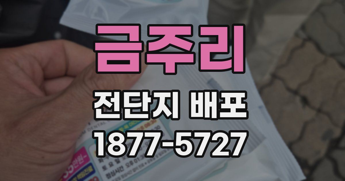 금주리 전단지 배포