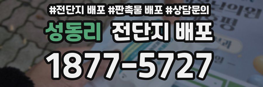 성동리 전단지 배포