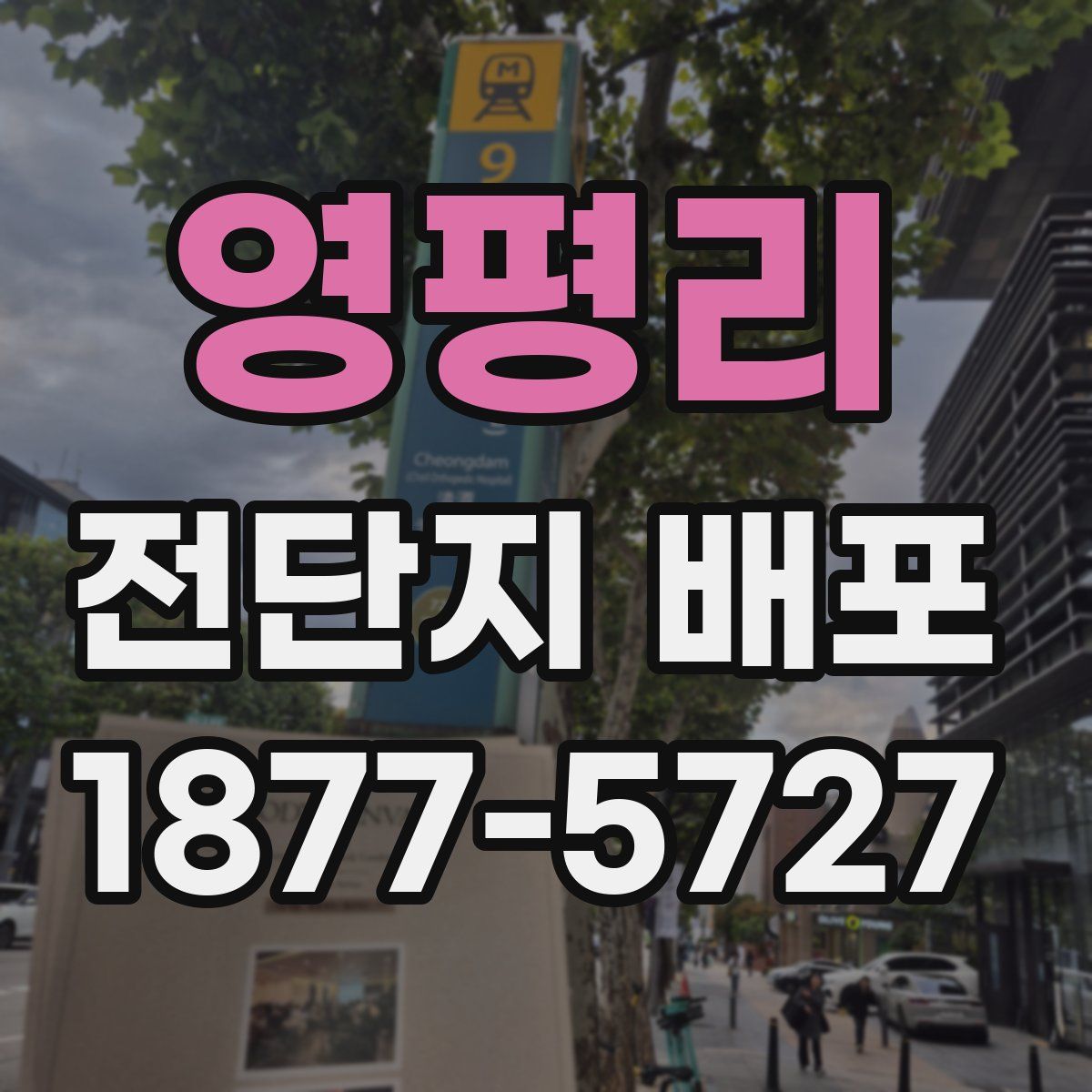 영평리 전단지 배포