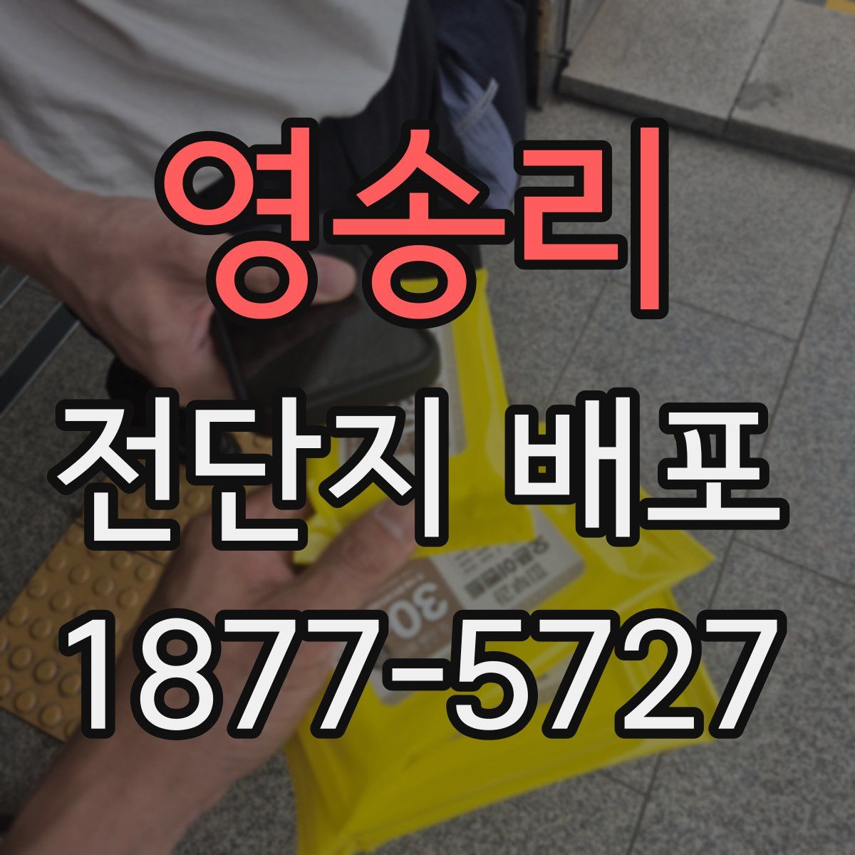 영송리 전단지 배포