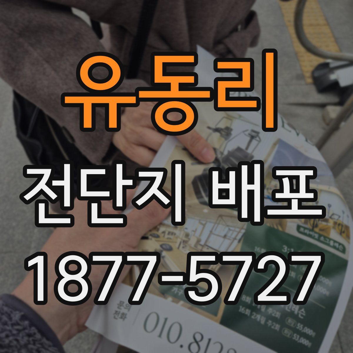 유동리 전단지 배포