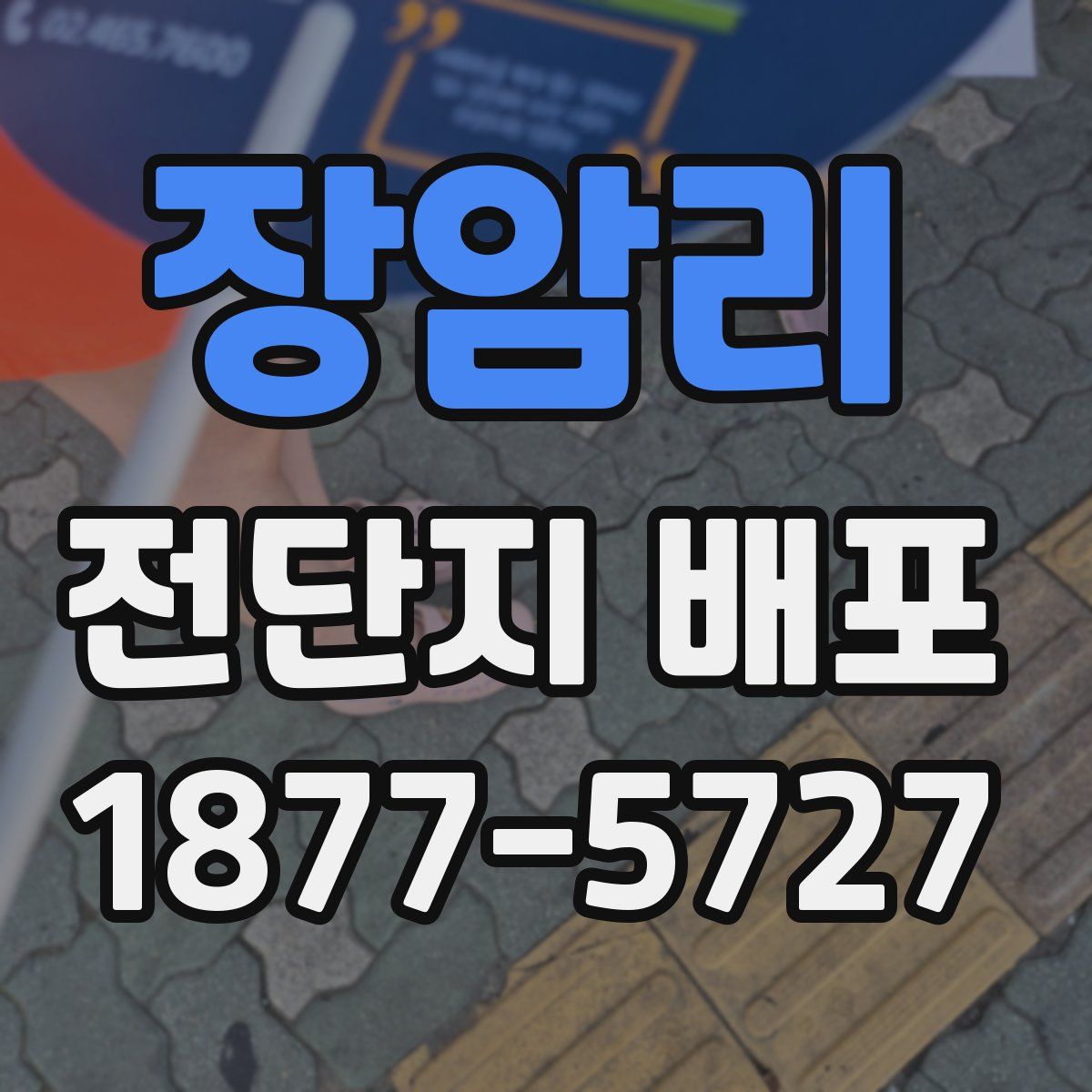 장암리 전단지 배포
