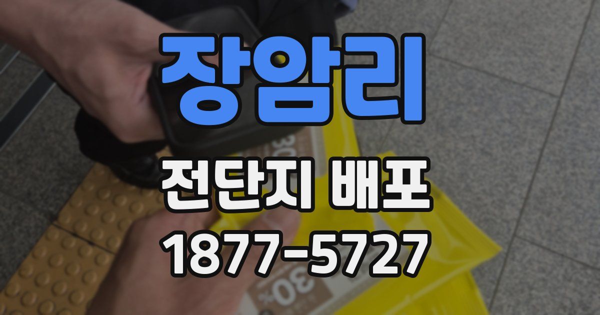 장암리 전단지 배포