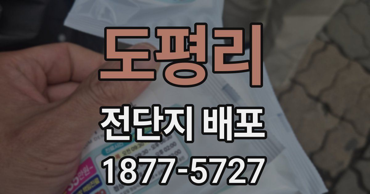 도평리 전단지 배포