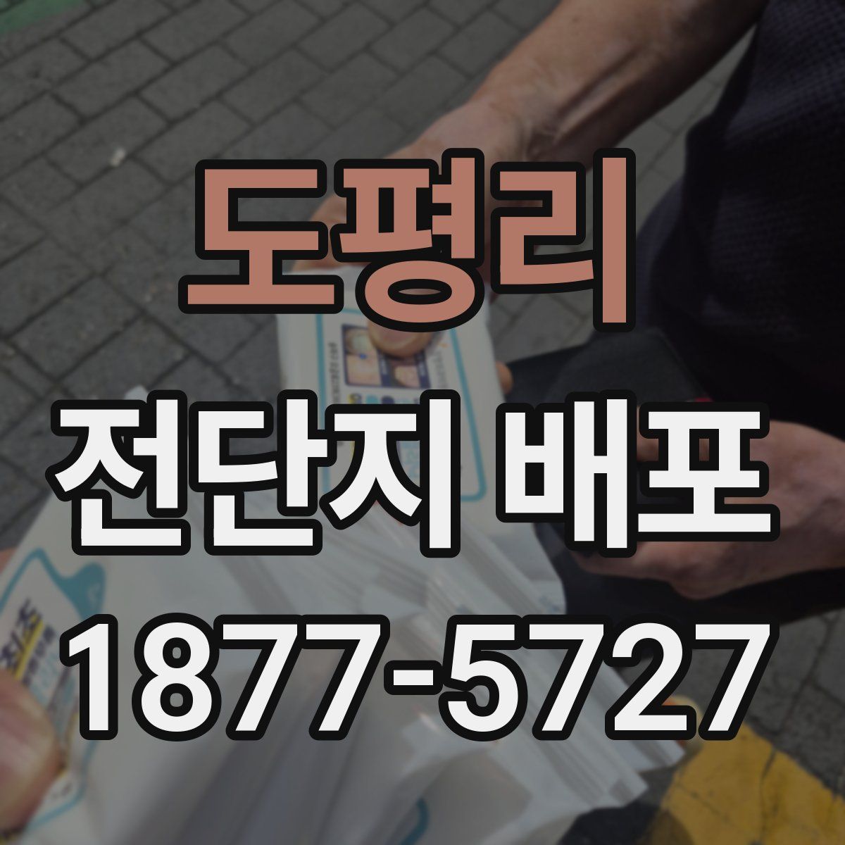 도평리 전단지 배포