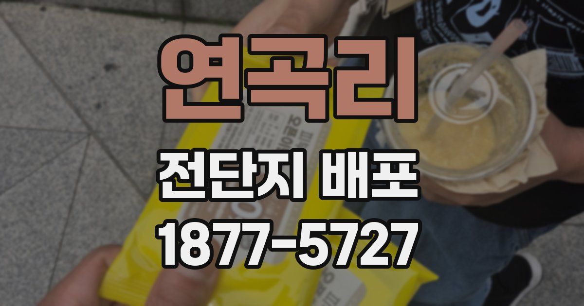 연곡리 전단지 배포