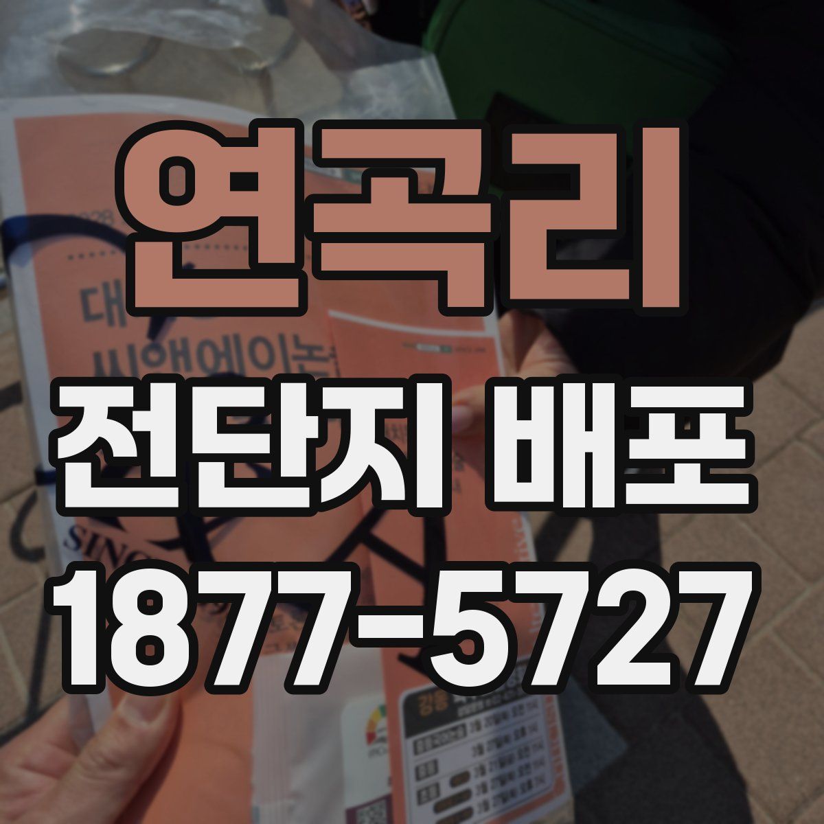 연곡리 전단지 배포
