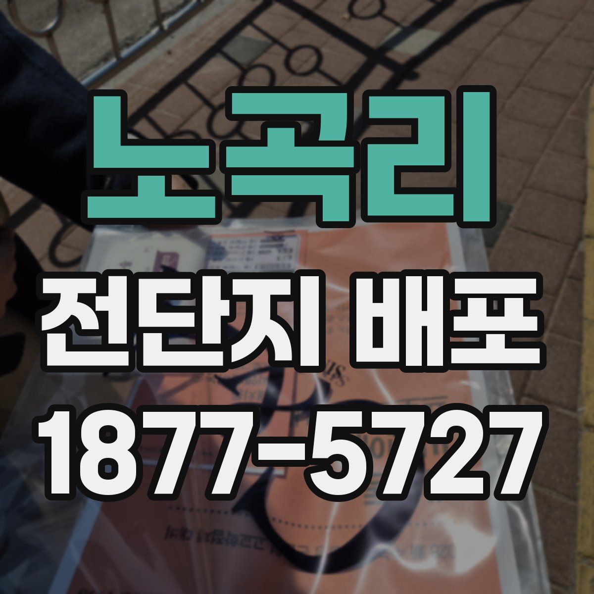 노곡리 전단지 배포
